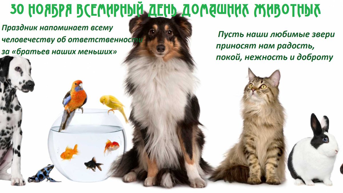 http://forumupload.ru/uploads/0000/09/8a/2/170125.jpg