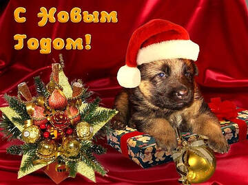 http://forumupload.ru/uploads/0000/0a/bc/4684/t450267.jpg