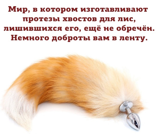 http://forumupload.ru/uploads/0000/0b/36/5143/121412.jpg