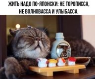 http://forumupload.ru/uploads/0000/0b/36/988/t164446.jpg