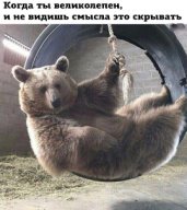 http://forumupload.ru/uploads/0000/0b/36/988/t176641.jpg