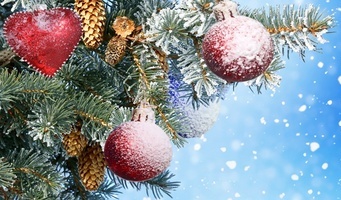 http://forumupload.ru/uploads/0000/14/0b/117/t93915.jpg