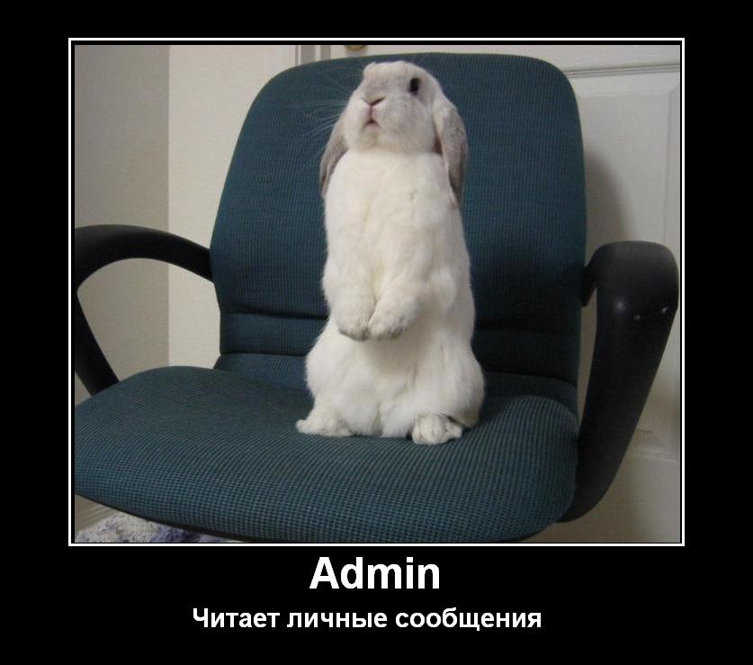 http://forumupload.ru/uploads/0000/14/1c/564176-3-f.jpg