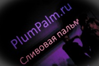 http://forumupload.ru/uploads/0000/1e/8f/9064-1.jpg