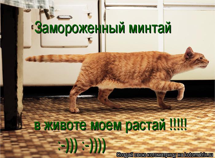 http://forumupload.ru/uploads/0000/f8/9a/4/292720.jpg