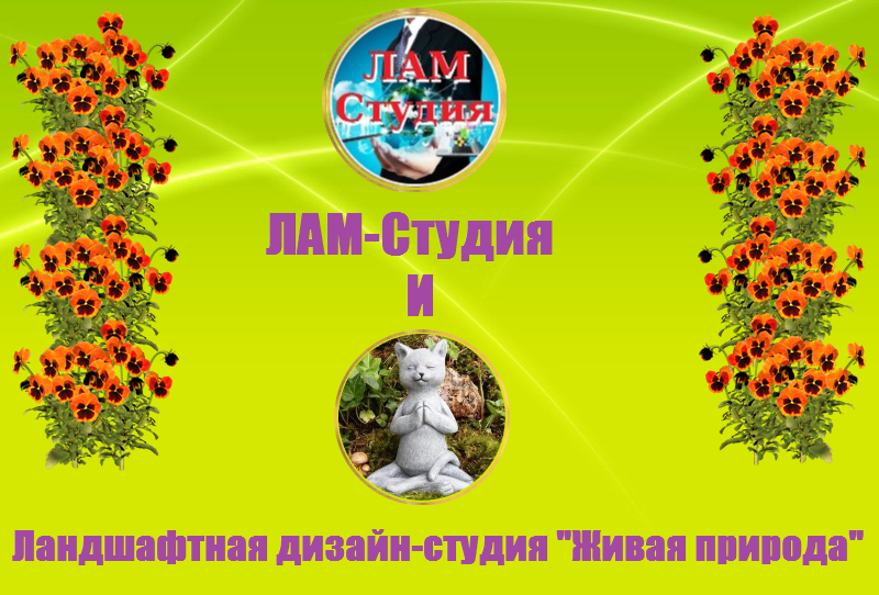 http://forumupload.ru/uploads/0000/f8/9a/4/340374.png