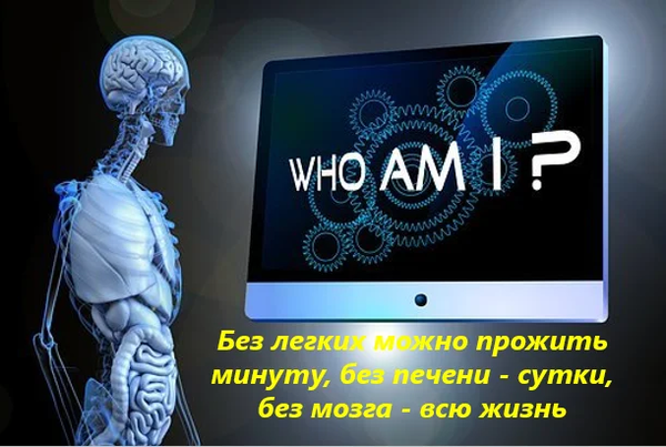 http://forumupload.ru/uploads/0001/2e/0f/4/t836013.png