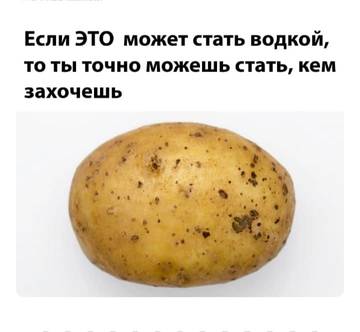 http://forumupload.ru/uploads/0001/df/35/7/t681746.jpg