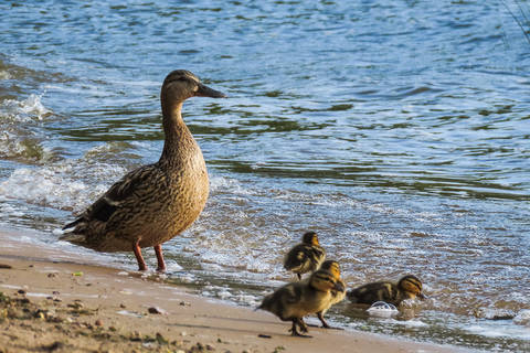 Заславское водохранилище — Википедия