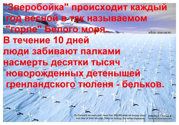 http://forumupload.ru/uploads/0002/25/06/12551-1-f.jpg