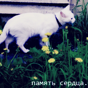 http://forumupload.ru/uploads/0003/be/6a/155791-5.png