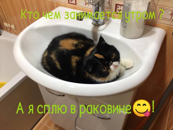 http://forumupload.ru/uploads/0004/02/e8/1734/t30773.jpg