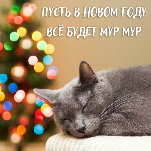 http://forumupload.ru/uploads/0004/02/e8/1734/t72453.jpg