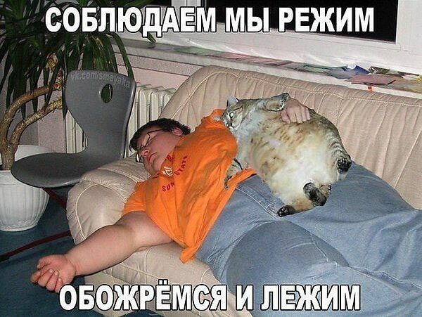 http://forumupload.ru/uploads/0004/02/e8/1734/t734102.jpg