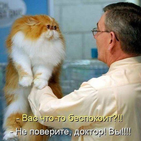 http://forumupload.ru/uploads/0004/02/e8/1734/t77852.jpg