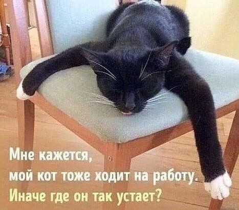 http://forumupload.ru/uploads/0004/02/e8/1734/t81353.jpg