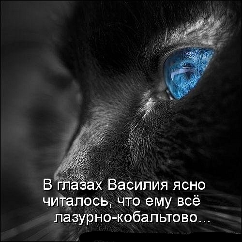 http://forumupload.ru/uploads/0004/02/e8/1734/t873107.jpg