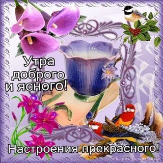 http://forumupload.ru/uploads/0004/02/e8/9917/t18114.jpg