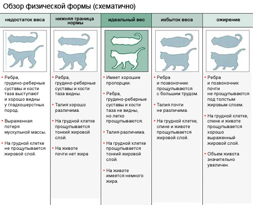 http://forumupload.ru/uploads/0004/92/d5/366-2-f.jpg