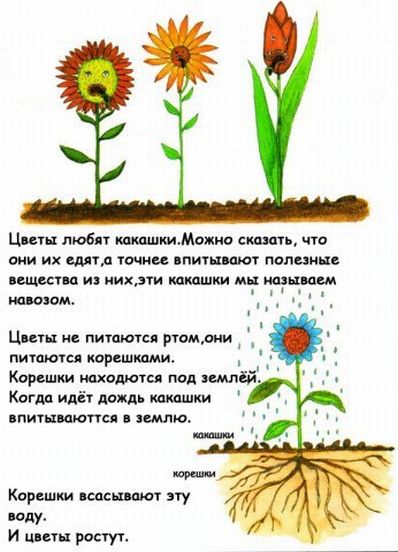 http://forumupload.ru/uploads/0004/fb/08/15264-3-f.jpg