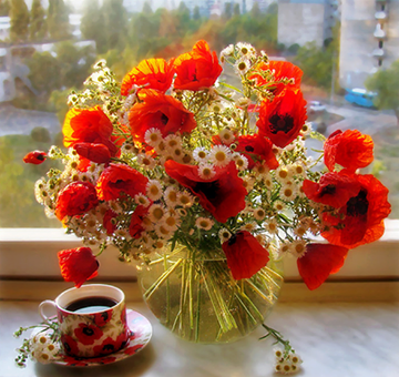 http://forumupload.ru/uploads/0005/77/cb/1437/t89728.png