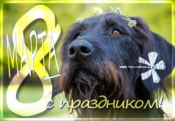 http://forumupload.ru/uploads/0005/77/cb/600/t67631.jpg