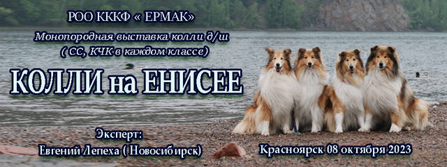 http://forumupload.ru/uploads/0007/4f/71/145/862725.jpg