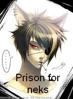 ~ Prison for neks ~