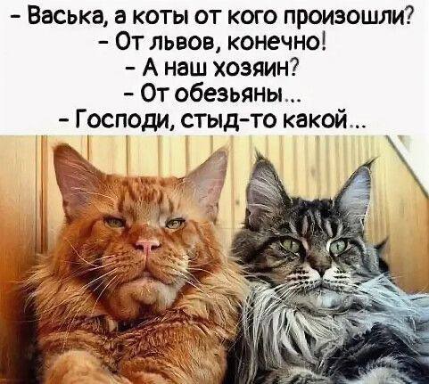 http://forumupload.ru/uploads/0009/61/87/126/t432664.jpg