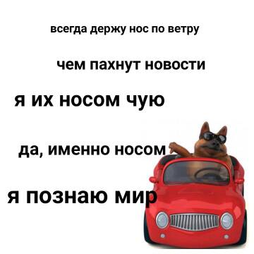 http://forumupload.ru/uploads/0009/61/87/1290/t531741.jpg