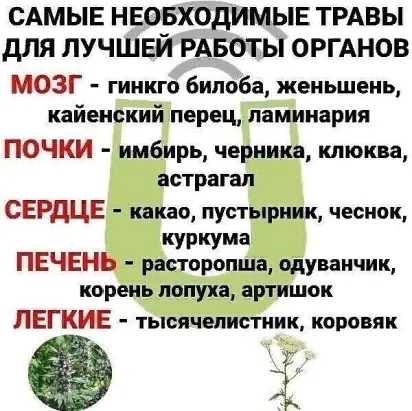 http://forumupload.ru/uploads/0009/61/87/230/588477.jpg