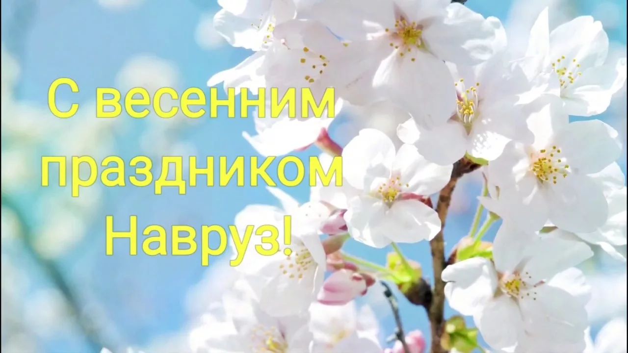 http://forumupload.ru/uploads/0009/61/87/230/917146.jpg