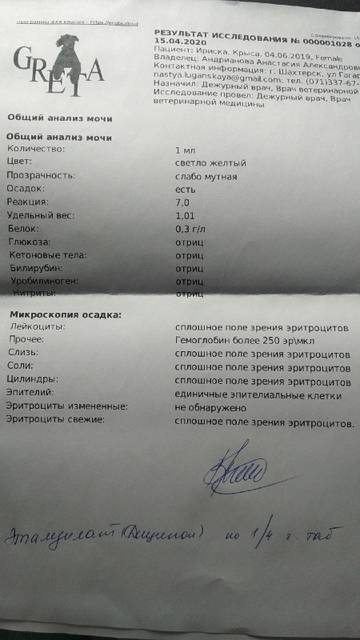 http://forumupload.ru/uploads/000a/56/e5/1681/t25850.jpg