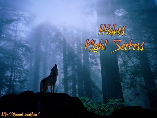|Wolves: Night Seekers|