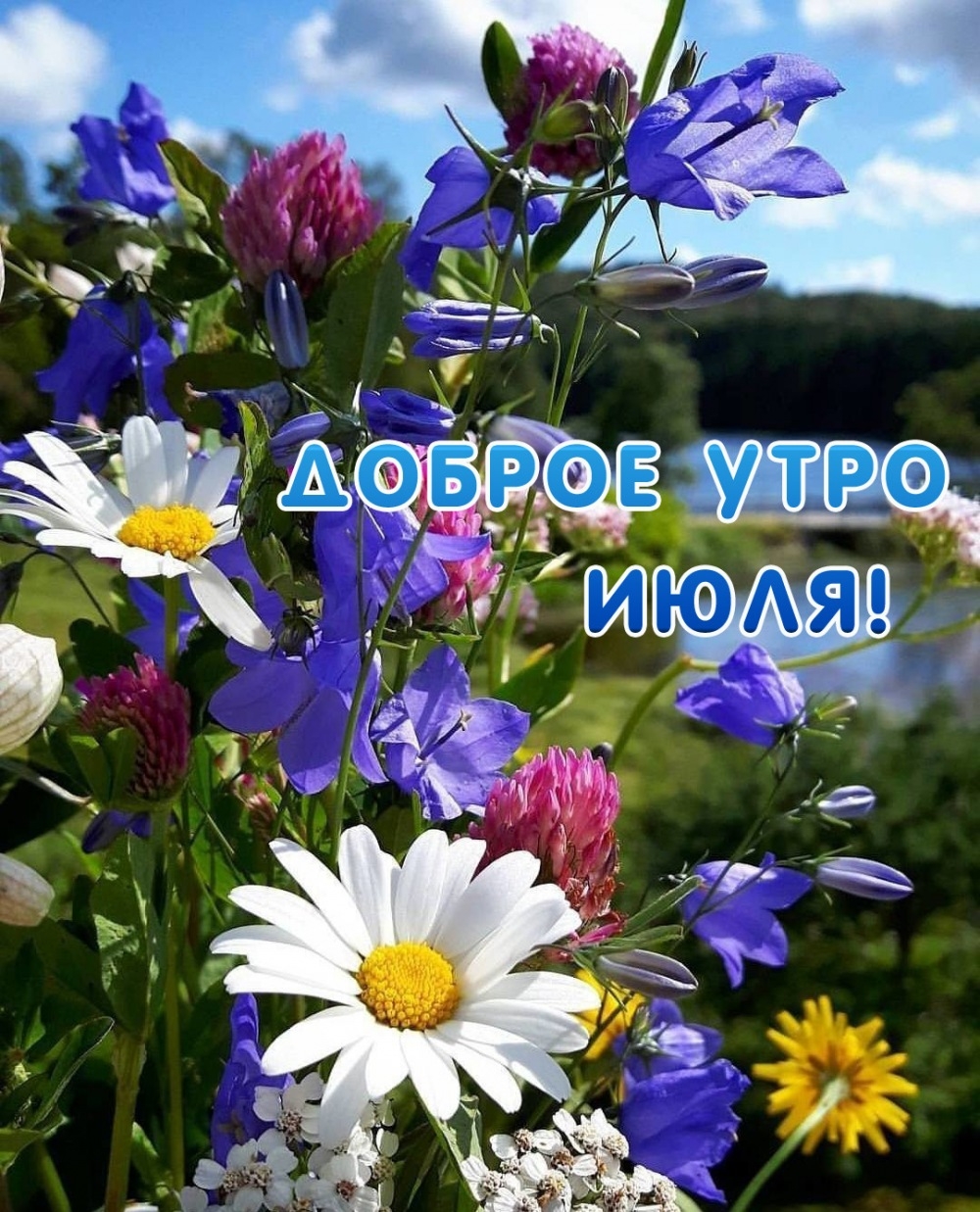 http://forumupload.ru/uploads/000a/78/7a/526/243829.jpg