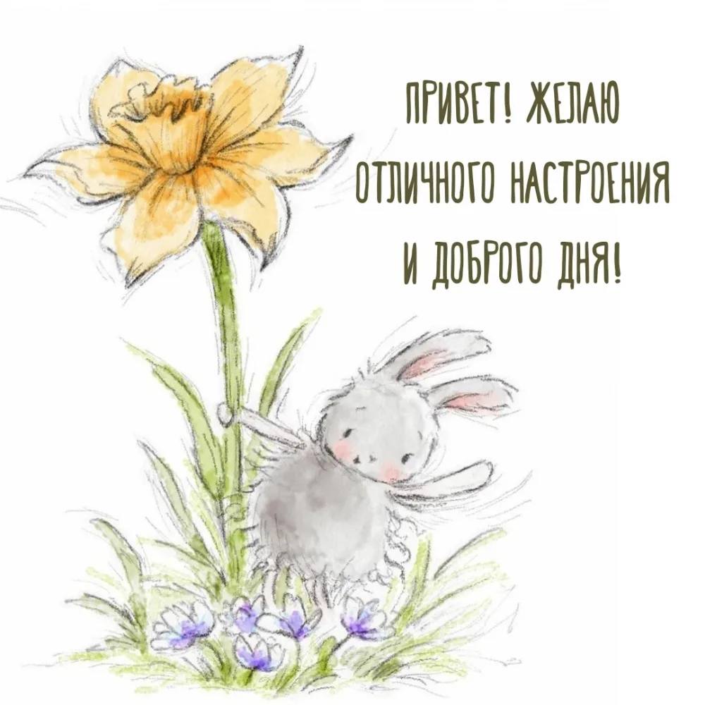 http://forumupload.ru/uploads/000a/78/7a/526/303355.jpg