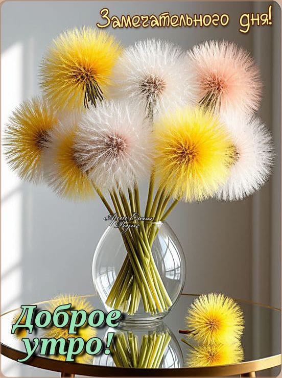 http://forumupload.ru/uploads/000a/78/7a/526/499672.jpg