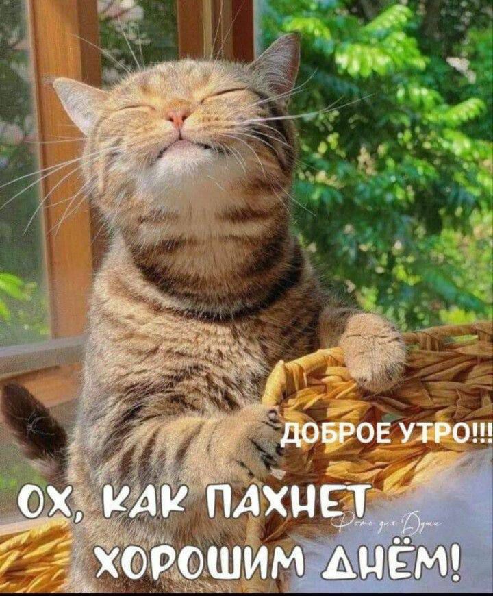 http://forumupload.ru/uploads/000a/78/7a/526/683505.jpg