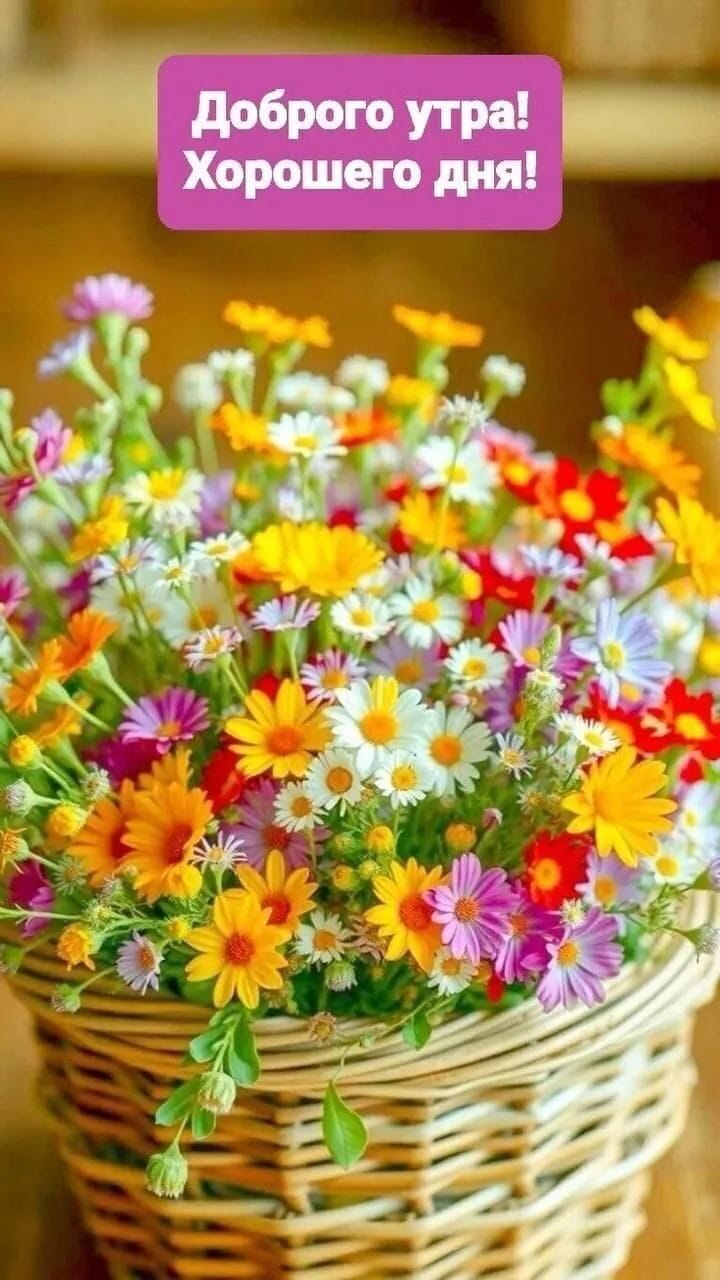 http://forumupload.ru/uploads/000a/78/7a/526/804649.jpg