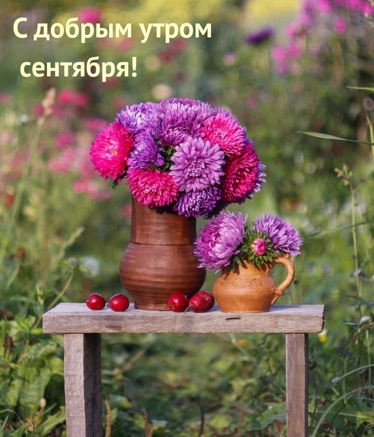 http://forumupload.ru/uploads/000a/78/7a/526/948612.jpg