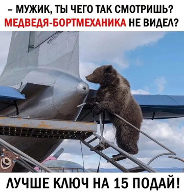 http://forumupload.ru/uploads/000a/e3/16/1538/t985382.png