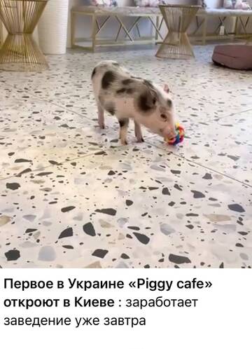 http://forumupload.ru/uploads/000a/e3/16/2022/t319160.jpg