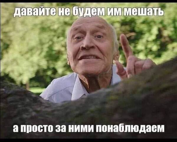 http://forumupload.ru/uploads/000a/e3/16/4460/t704214.jpg