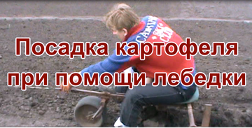 http://forumupload.ru/uploads/000b/0b/c7/3162/t808886.png