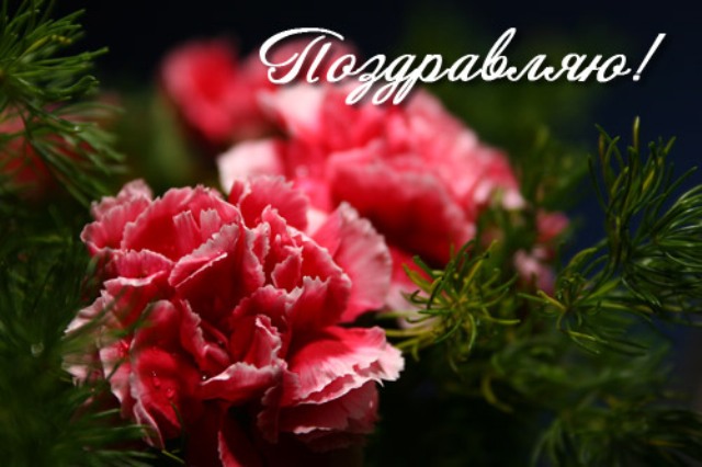 http://forumupload.ru/uploads/000b/ce/ff/1930-1-f.jpg