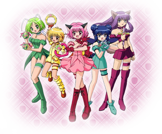 Tokyo Mew Mew - Return To The Earth