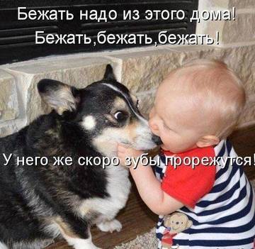 http://forumupload.ru/uploads/000c/14/61/46/t266438.jpg