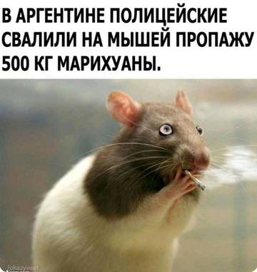 http://forumupload.ru/uploads/000c/14/61/46/t47954.jpg