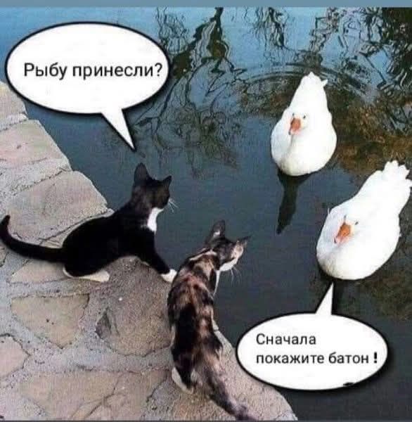 http://forumupload.ru/uploads/000c/cc/b3/2/71260.jpg