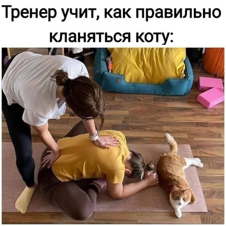 http://forumupload.ru/uploads/000c/cc/b3/2/958782.jpg